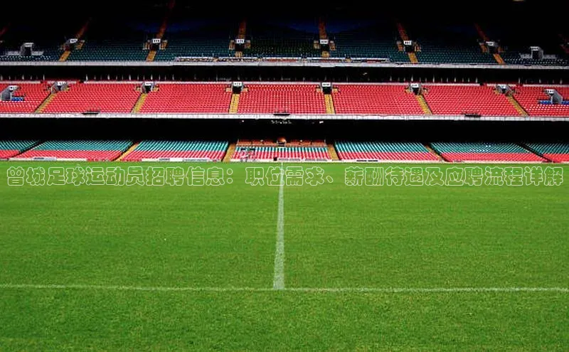 欧陆在线登录百度教育曾城足球运动员招聘信息：职位需求、薪酬待遇及应聘流程详解