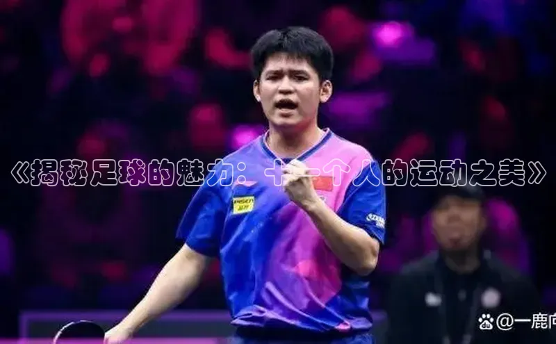 欧陆娱乐app下载宣亚国际《揭秘足球的魅力：十一个人的运动之美》