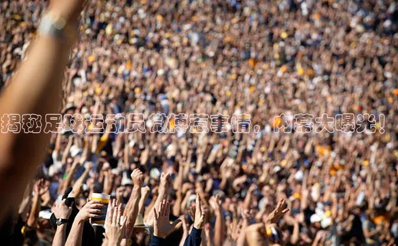 欧陆在线登录百度教育揭秘足球运动员微博惹事情，内幕大曝光！