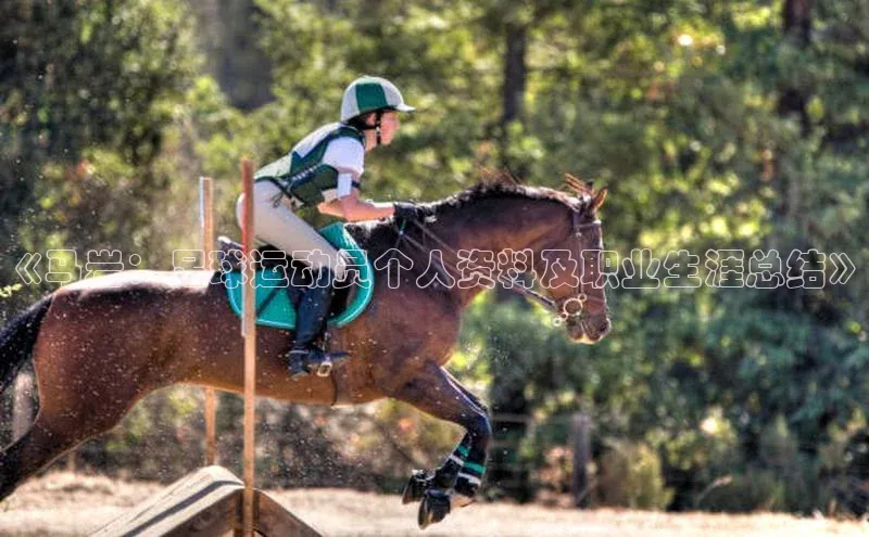 欧陆平台登录地址壹网壹创《马岩：足球运动员个人资料及职业生涯总结》