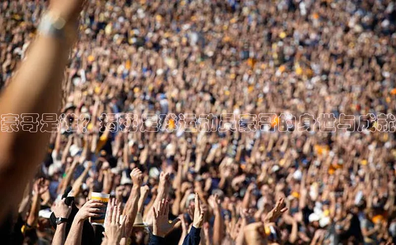 欧陆登录入口美团豪哥是谁？揭秘足球运动员豪哥的身世与成就