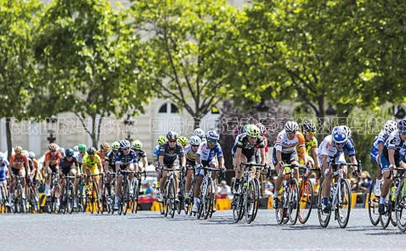 飞跃山脉与森林：国际定向运动赛事的极限与魅力