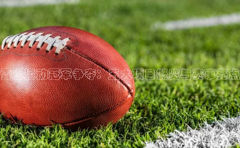 雪上运动冠军争夺：五大项目概览与赛事亮点