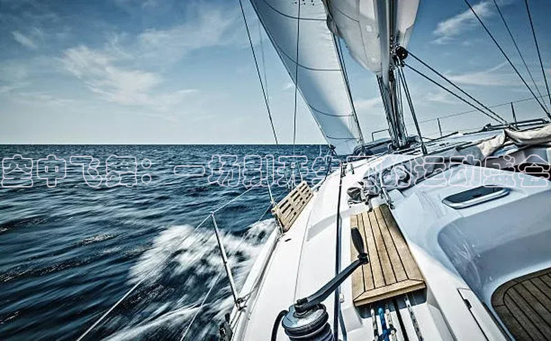 空中飞舞：一场别开生面的运动盛会