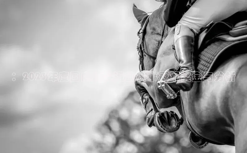 ：2023年度国内顶尖运动赛事冠军奖金与分析