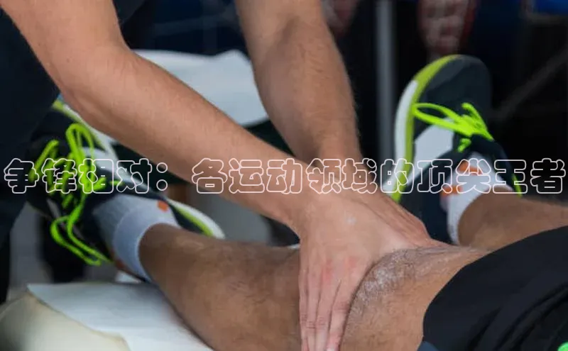 争锋相对：各运动领域的顶尖王者