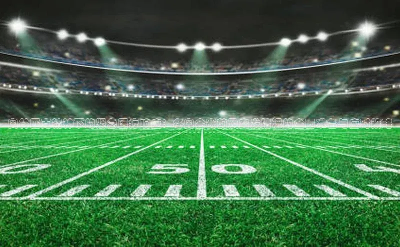 奥林匹克精神下的紧急医疗响应：冬奥会赛前及突发情况的全面准备与应对策略