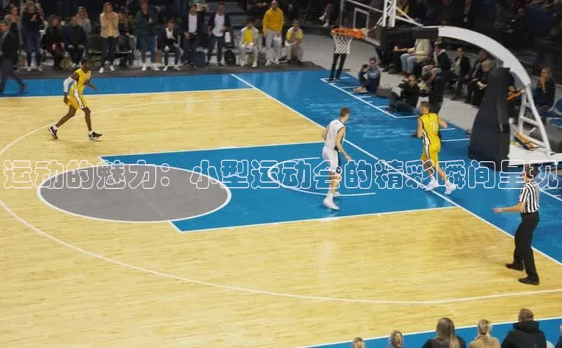 运动的魅力：小型运动会的精彩瞬间呈现