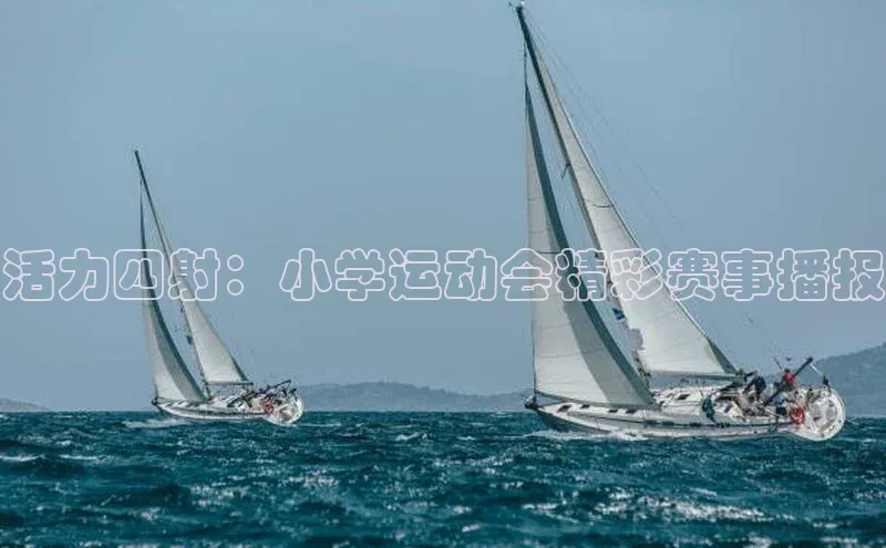 活力四射：小学运动会精彩赛事播报