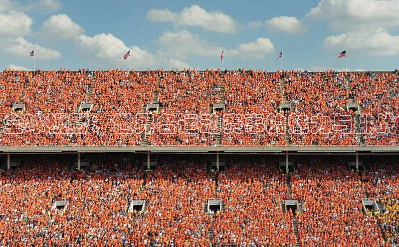 全球视野：世界各运动赛事的魅力与挑战