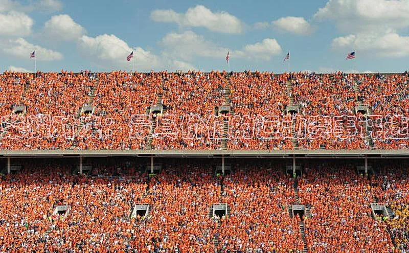 荣耀对决：最具价值的运动赛事评选