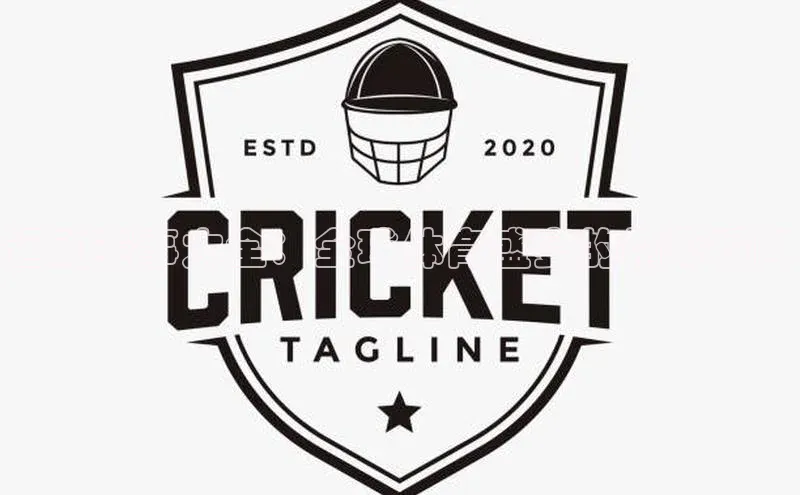 运动赛事大全：全球体育盛宴的精彩瞬间