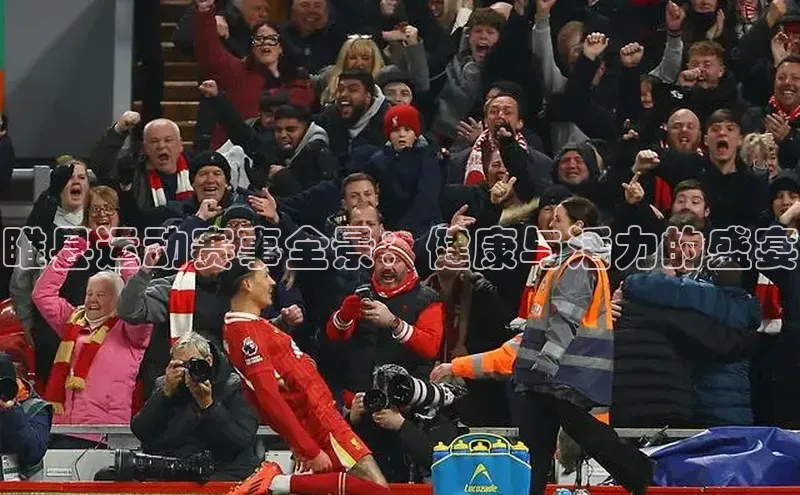 睢县运动赛事全景：健康与活力的盛宴