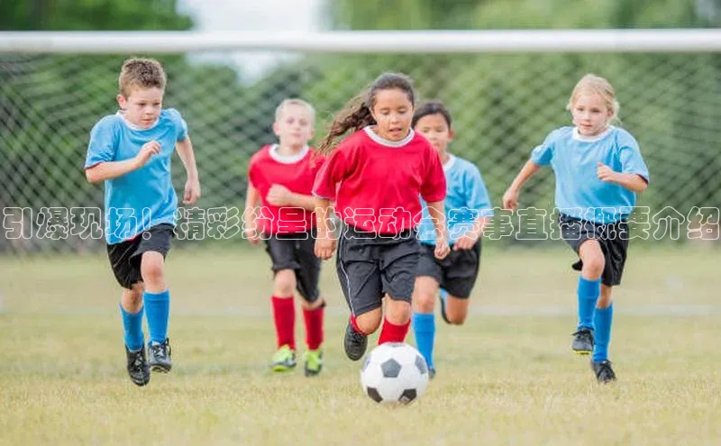 引爆现场！精彩纷呈的运动会赛事直播概要介绍