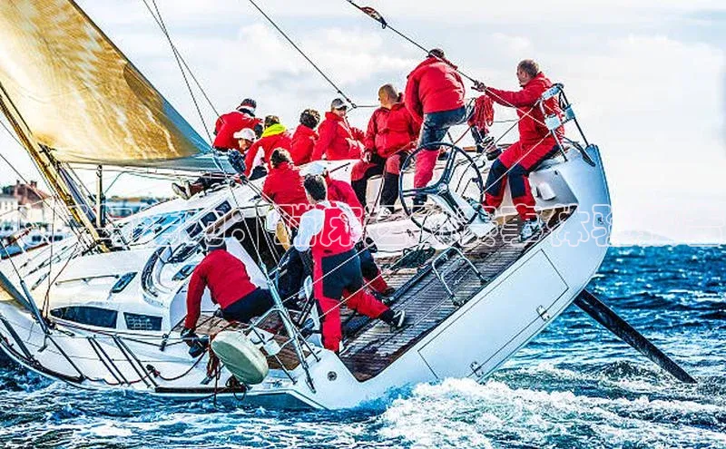 飞跃与活力：蹦床运动赛事体验报告