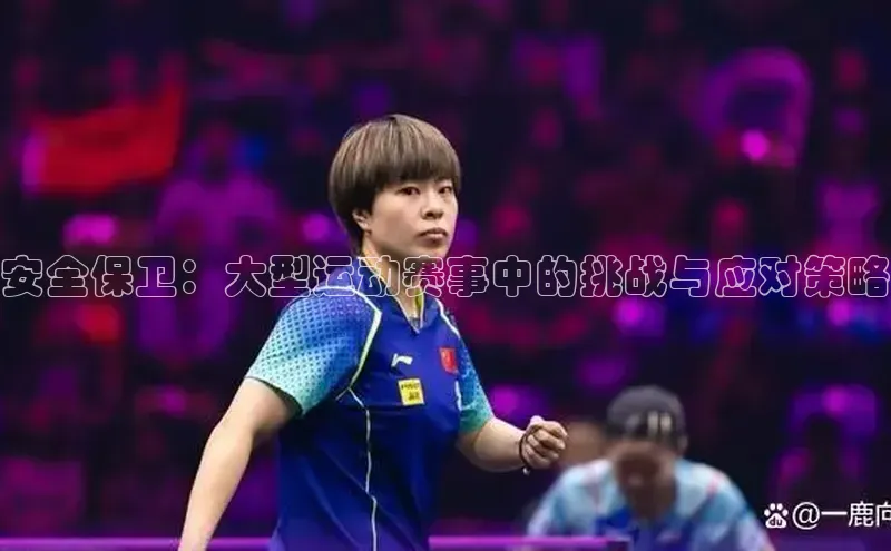安全保卫：大型运动赛事中的挑战与应对策略