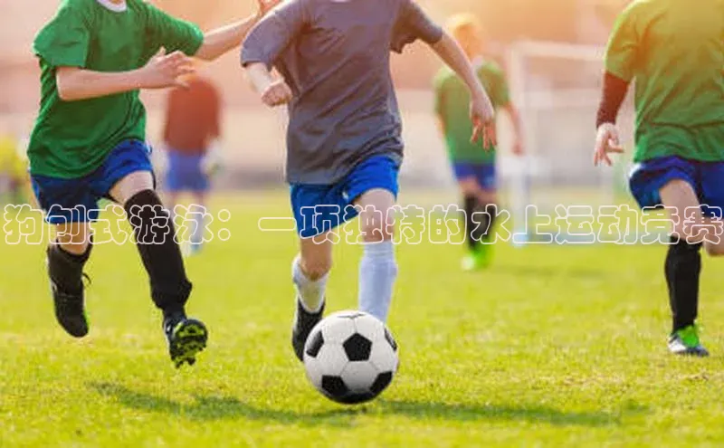 狗刨式游泳：一项独特的水上运动竞赛