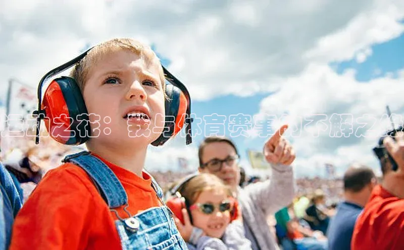 运动之花：我与体育赛事的不解之缘