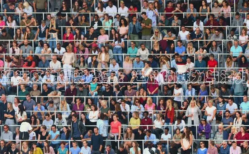 温江区的精彩赛事：运动的魅力与活力